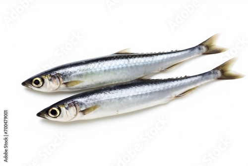 Nice shape of Iwashi sardines isolated on white.