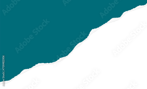 Green torn paper or ripped paper blank notepad flat illustration vector