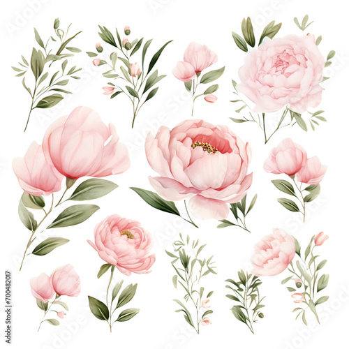 Watercolor Pink Peony flower for wedding card Clipart Collection on a transparent background 