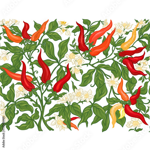 Hot chilly pepper plant with fruits and flowers Seamless pattern, background. Vector illustration. In art nouveau style, vintage, old, retro style.