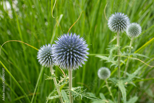 2023-06 Fotokurs