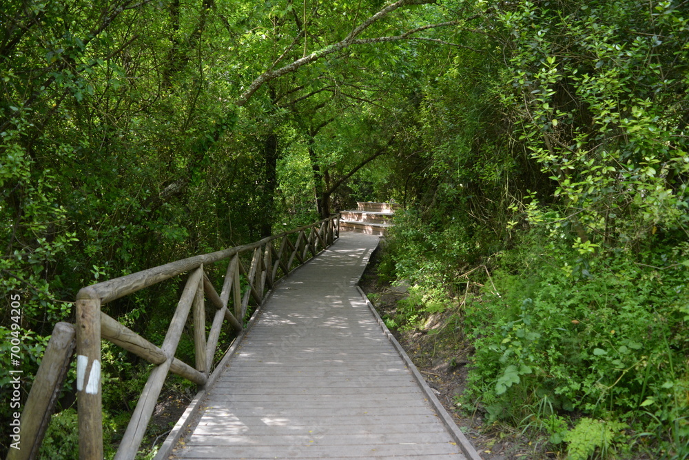 Romantic walking route along the creek Shofet in northern Israel
