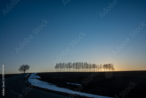 美しい早春の夕暮れの空と冬木立  © kinpouge