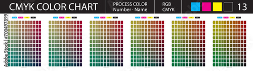 CMYK Process Color Chart 13