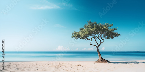 Lone tree growing in the sand ,a beautiful realstic summer beach wallpaper, palm tree ,Beautiful beach with tree. 