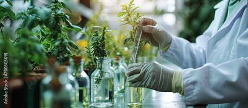 Botanist scientist woman and man in white lab coat work together on experimental plant plots biological researchers hold chemical test tube do science experiment with plant in greenhouses labor photo