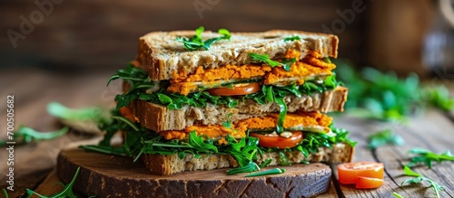 Healthy Homemade Vegetarian Veggie Sandwich with Sweet Potatoes Lettuce Tomato Cheese. Creative Banner. Copyspace image