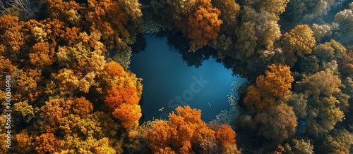 Aerial view of heart shaped pond in autumn forest. Creative Banner. Copyspace image