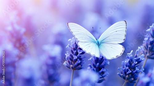 butterfly sitting on spring flower generated by AI tool © Aqsa