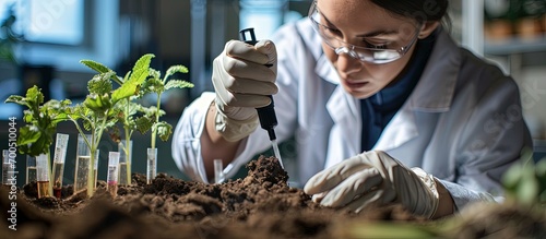 Laboratory Soil Analysis Female scientist in white coat measuring PH of soil sample with litmus strips Agrochemical examination of soil. Creative Banner. Copyspace image
