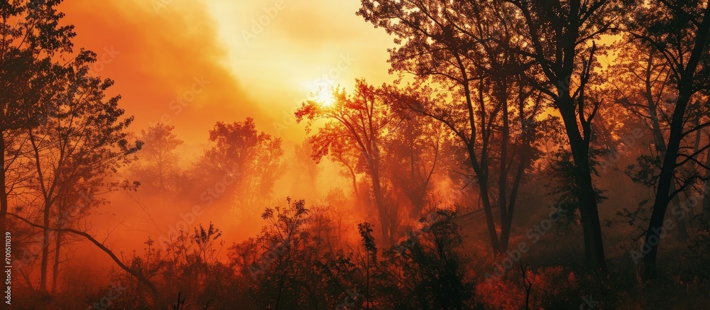 Forest wildfire at morning from a distance with silhouettes of trees against dramatic red sky and heavy smoke Sunrise over the forest in the smoke of forest fires. Creative Banner. Copyspace image Forest wildfire at morning from a distance with silhouettes of trees against dramatic red sky and heavy smoke Sunrise over the forest in the smoke of forest fires. Creative Banner. Copyspace image