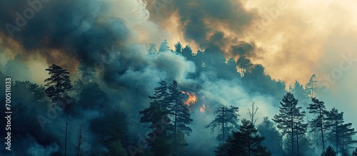 Large cloud of smoke from forest fires Wild fire in the forest. Creative Banner. Copyspace image