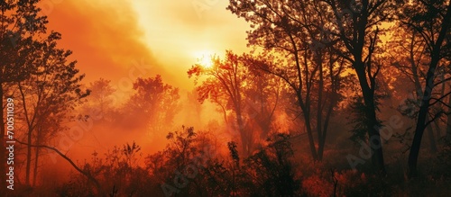 Forest wildfire at morning from a distance with silhouettes of trees against dramatic red sky and heavy smoke Sunrise over the forest in the smoke of forest fires. Creative Banner. Copyspace image