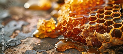 appetizing delicious natural honey in wax combs flows out of honeycombs pieces of honey in honeycombs. Creative Banner. Copyspace image photo