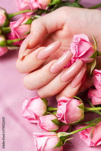 Female hands with pink nail design hold pink roses