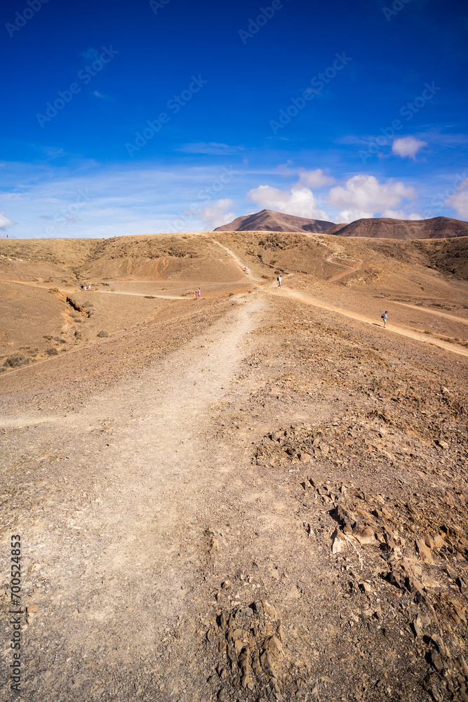 Typical landscape of Lanzarote. Canary Islands. Spain.