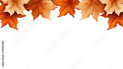 Maple Leaves Border Design Isolated on Transparent or White Background, PNG