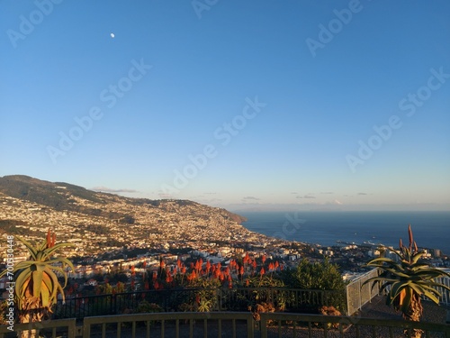 ilha da madeira, paisagem, verde, céu, azul, planta, árvore, ar livre, asia, viagem, turismo, verde, azul, exterior, arte, pôr-do-sol, cidade, vistas, panorâmica, cores, detalhes, artista, amor, vida,