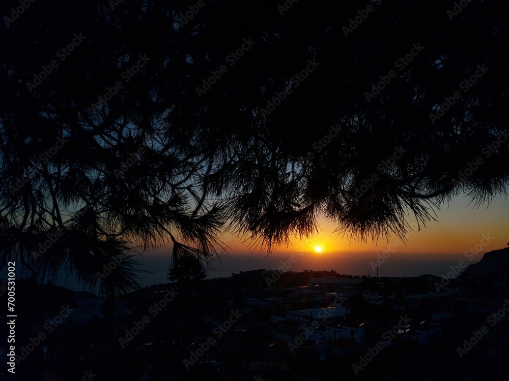 ilha da madeira, paisagem, verde, céu, azul, planta, árvore, ar livre, asia, viagem, turismo, verde, azul, exterior, arte, pôr-do-sol, cidade, vistas, panorâmica, cores, detalhes, artista, amor, vida, ilha da madeira, paisagem, verde, céu, azul, planta, árvore, ar livre, asia, viagem, turismo, verde, azul, exterior, arte, pôr-do-sol, cidade, vistas, panorâmica, cores, detalhes, artista, amor, vida,