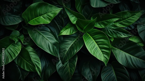green leaves background © Zain Graphics