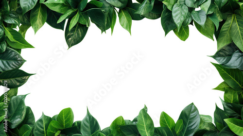 Green leaves frame cut out photo