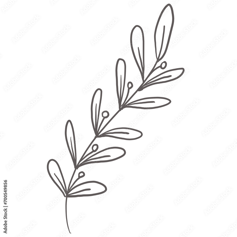 doodle leaves decoration doodle leaves decoration