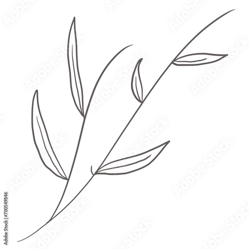 doodle leaves decoration