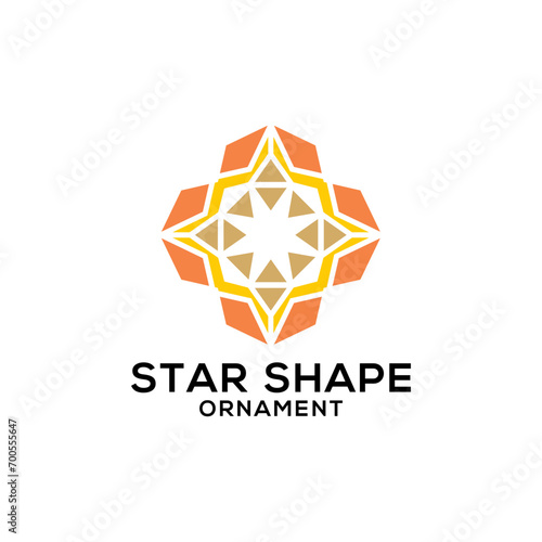 Logo vector business Star shape