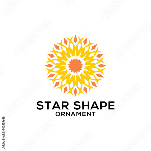 Logo vector business Star shape
