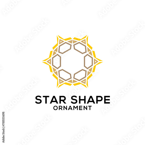 Logo vector business Star shape