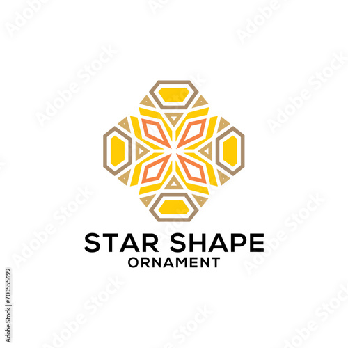Logo vector business Star shape