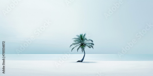 One lonely palm tree on a white beach. Calm sae with mist. Tranquil seashore landcsape. Generative AI photo