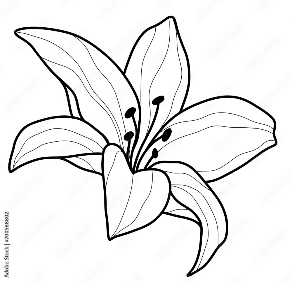 Naklejka premium Black and White Lily Flower Vector in Hand-Drawn Style 