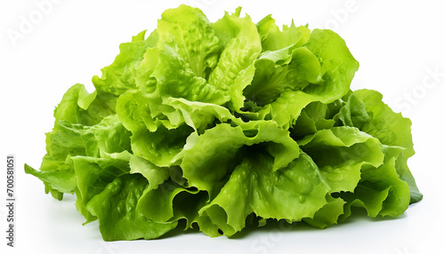 Lettuces Isolated on White Background"