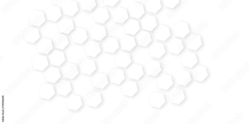 Background with hexagons . Abstract background with lines . white texture background . hexagon abstract background. Seamless background. Abstract honeycomb background. Background with hexagons . Abstract background with lines . white texture background . hexagon abstract background. Seamless background. Abstract honeycomb background.