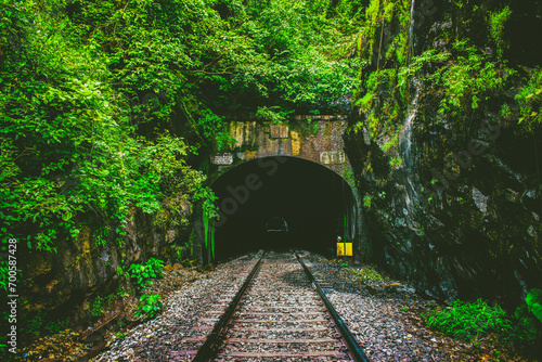 Railway tunnel in Goa's tropical forest, creating a picturesque travel background. photo
