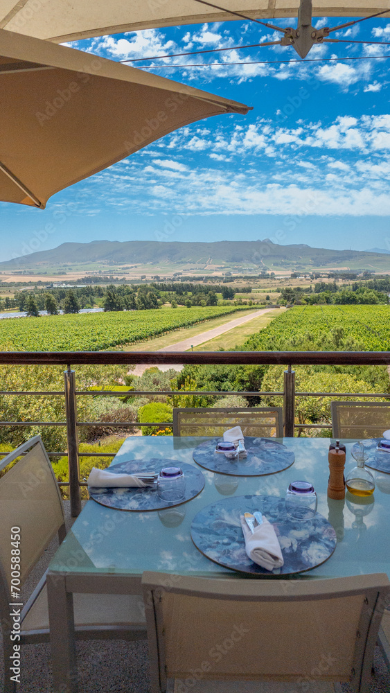 Visit to a pretty vineyard in South Africa in November