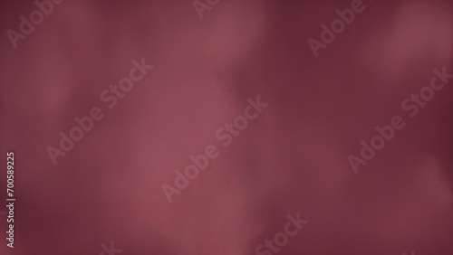 Dusty Maroon Old Masters printed backdrop