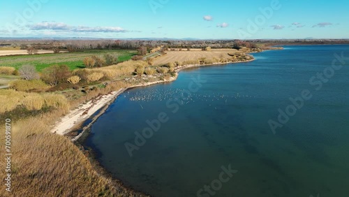 Wallpaper Mural Birds flocking along the peaceful shore Torontodigital.ca