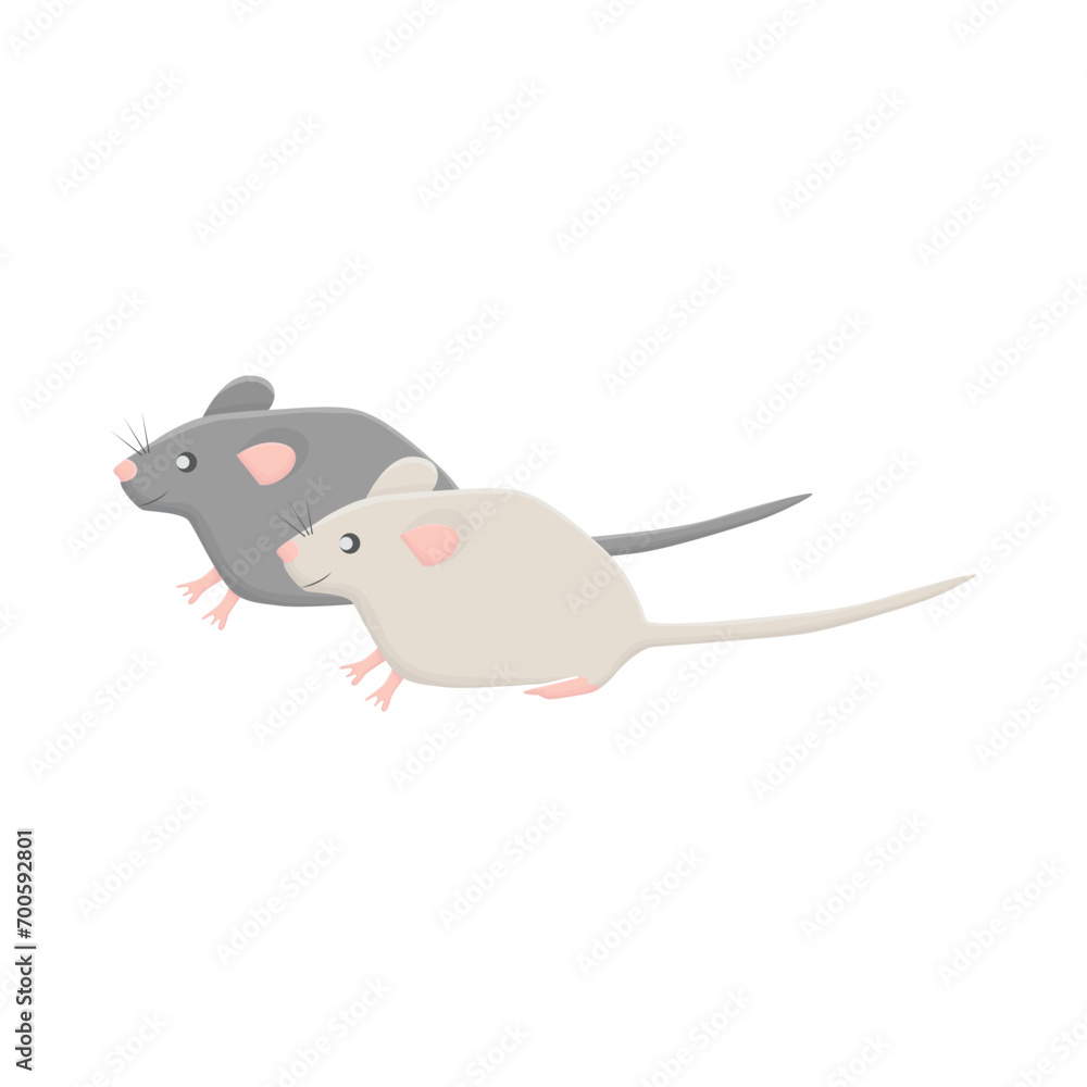 mouse illustration mouse illustration