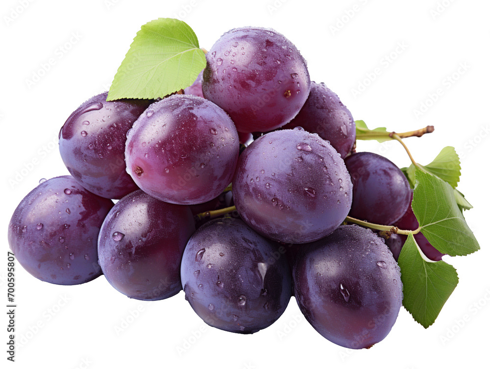 Damson Fruit on white background Damson Fruit on white background