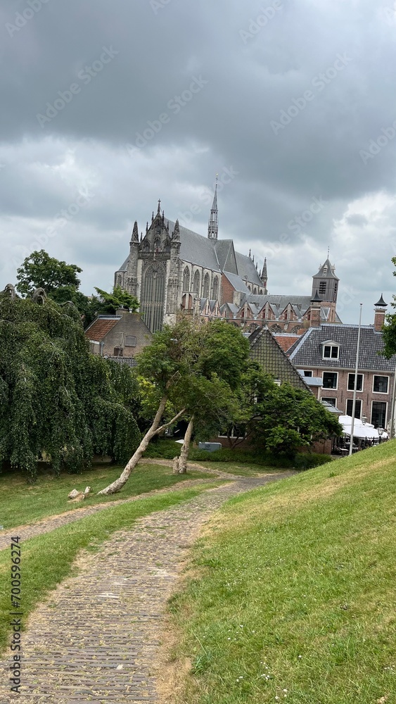 Fototapeta premium castle in the park