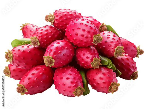 simple clip art of Cactus pear Fruit on white background