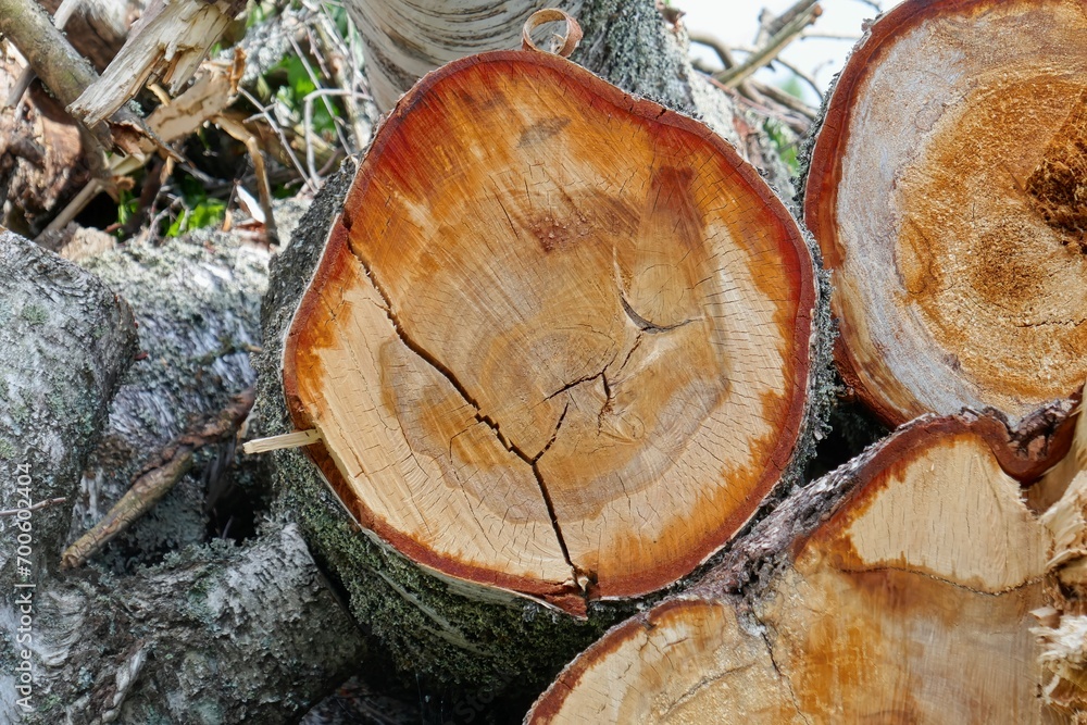 Closeup of pile of wooden tree logs ready for use as firewood in summer. Closeup of pile of wooden tree logs ready for use as firewood in summer.