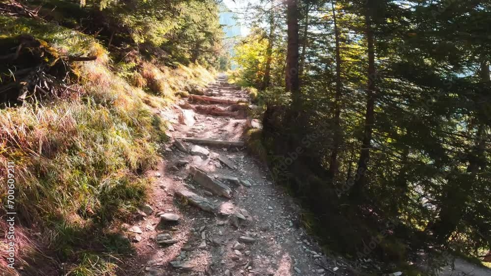 walking a hiking path in Switzerland on way to Berghaus Baregg beautiful scenery. Grindelwald walking a hiking path in Switzerland on way to Berghaus Baregg beautiful scenery. Grindelwald