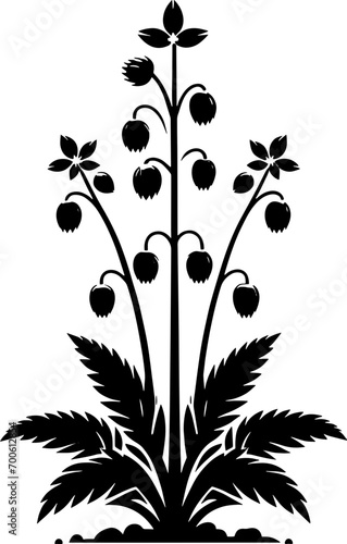 Gisekiaceae plant icon 9
