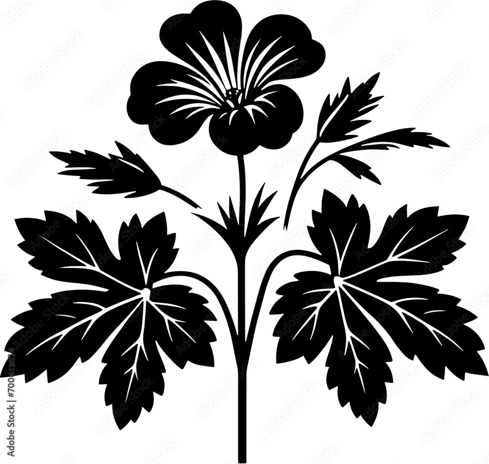 Geraniaceae plant icon 4 Geraniaceae plant icon 4