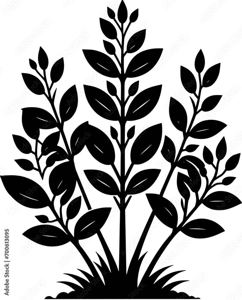 Gelsemiaceae plant icon 9 Gelsemiaceae plant icon 9