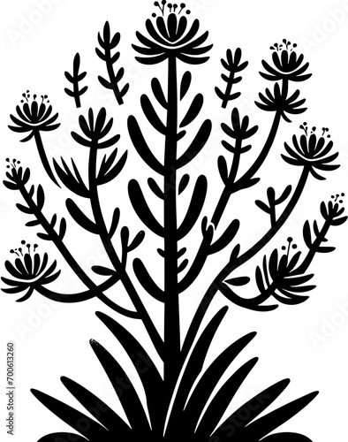 Fouquieriaceae plant icon 12