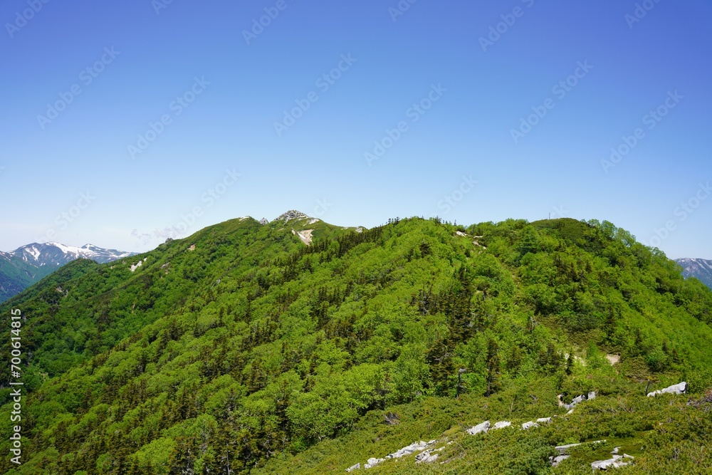 Fototapeta premium 北アルプス 新緑の烏帽子岳
